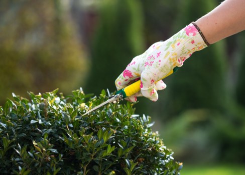 Gardener working in a residential garden during a booked service