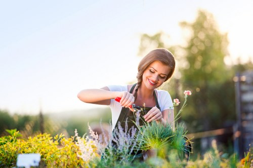 Gardening services in Ruxley for tidy lawns and healthy planting