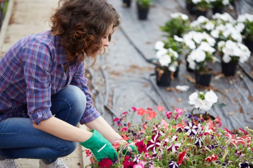 Gardeners in Ruxley creating a healthy and attractive garden
