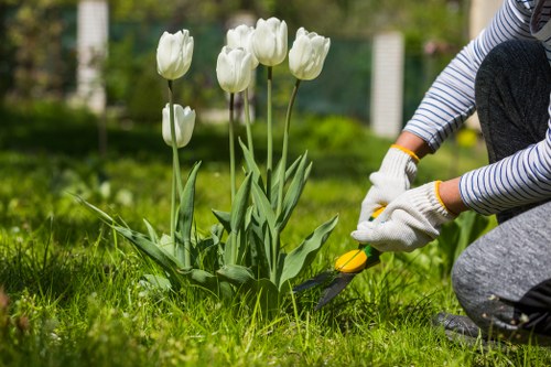 Healthy lawn care in Ruxley during spring maintenance