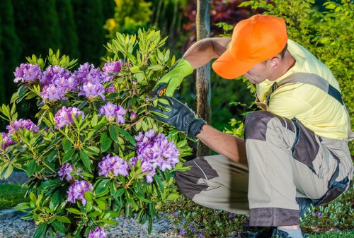 Charitable reuse of garden items supporting circular economy