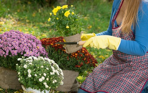 Gardeners in Ruxley improving a balanced outdoor space