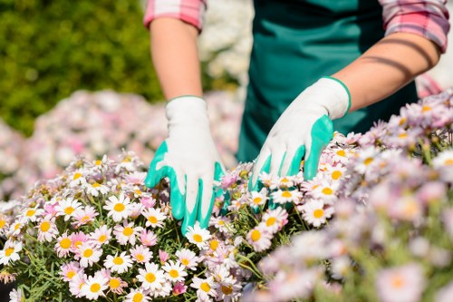 Ruxley gardeners maintaining healthy plants and tidy borders