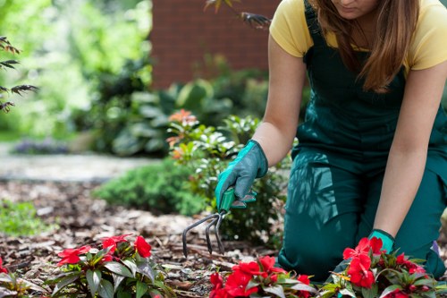 Hard landscaping features in a Ruxley garden