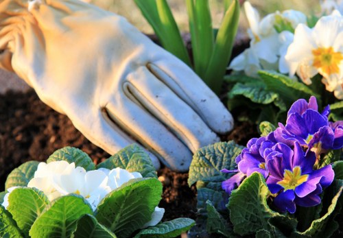 Health and safety awareness during garden maintenance tasks