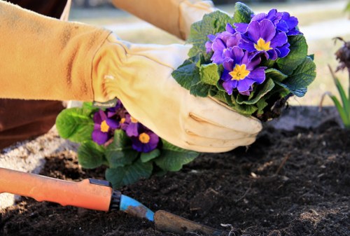 Professional gardeners in Ruxley improving a well-structured garden