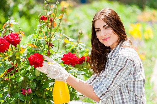 Low-maintenance outdoor landscaping in Ruxley