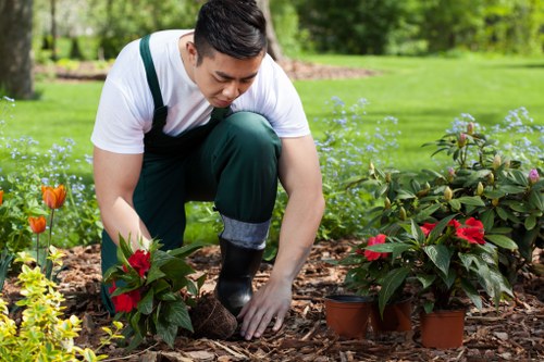 Autumn lawn care in Ruxley with leaf clearance and overseeding