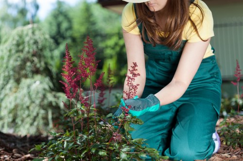 Symbol of fair and professional complaint handling in gardening