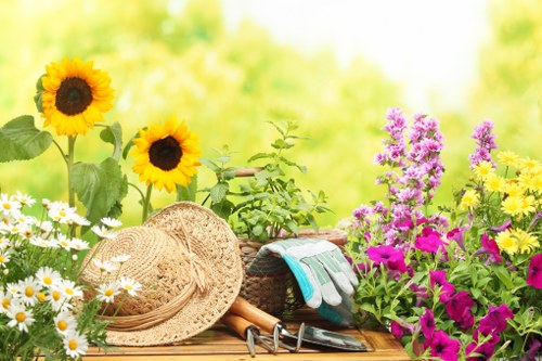 Cut back shrubs and tidy garden space in Ruxley