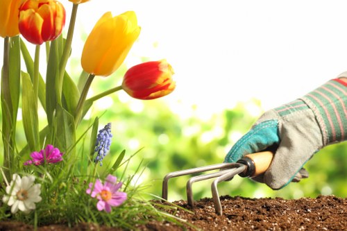 Seasonal hedge maintenance in Ruxley
