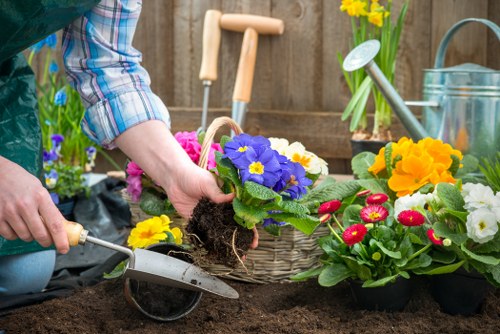 Visual of a gardening issue being assessed for resolution