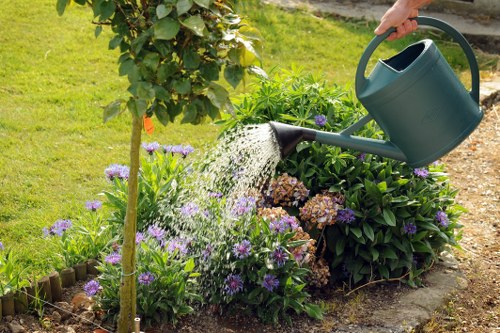 Tidy garden hedge trimming results in Ruxley